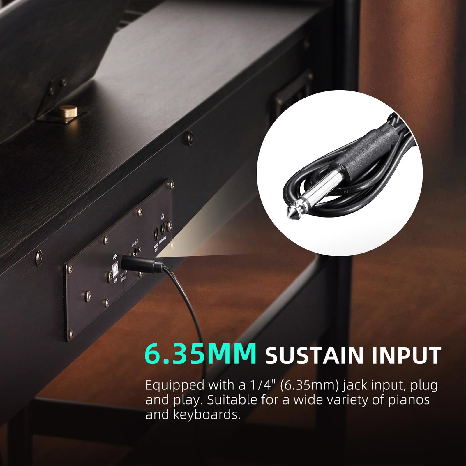 LEKATO DP-10 Sustain Pedal for Keyboards Midi Digital Pianos