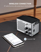 LEKATO S4 Electric Guitar Amp 10W Clean Distortion Gain Control Amp