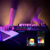 LEKATO 25 Keys MIDI Keyboard Controller USB 8 RGB Backlit CubeSuite Software - LEKATO-Best Music Gears And Pro Audio